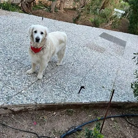 In Drios, Paros Island, Greece. * 드리오스