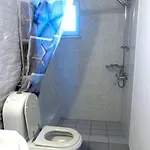 In Drios, Paros Island, Greece. بيت للعطل دريوس